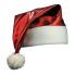 Shiny Santa Hat